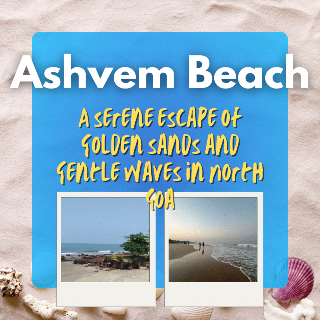 A serene and clean stretch of Ashvem Beach in Goa with soft golden sand, gentle waves, and a peaceful, uncrowded shoreline under a clear blue sky.