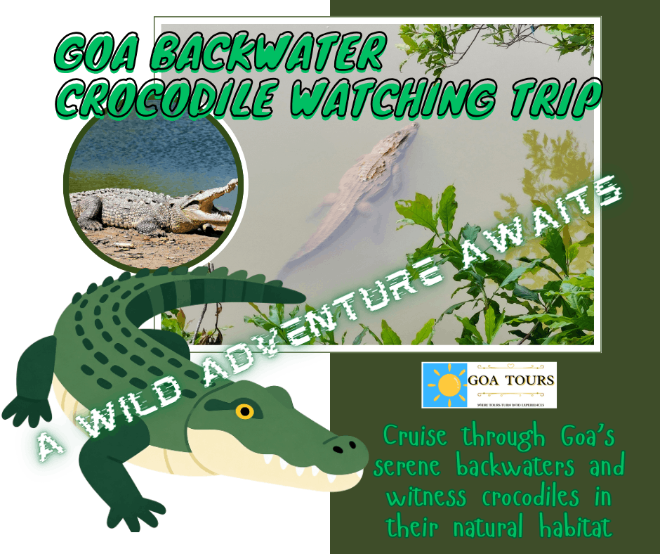Goa's Backwater Crocodile Watching Trip with a scenic boat safari through lush mangrove forests. Spot marsh crocodiles in their natural habitat, enjoy serene river views, and discover the rich wildlife of Goa's beautiful backwaters.