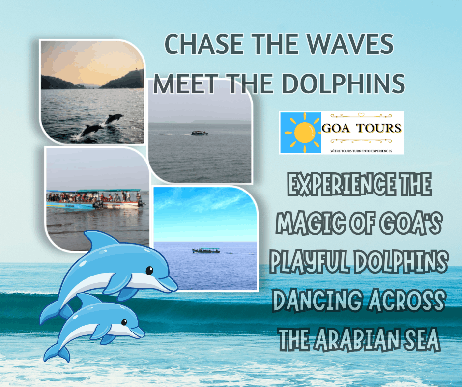 Tourists enjoying a Goa dolphin sighting boat trip on the Arabian Sea, watching wild dolphins leap and swim alongside the boat. A scenic coastal adventure featuring clear blue waters, sea breeze, stunning views, and unforgettable marine wildlife encounters.