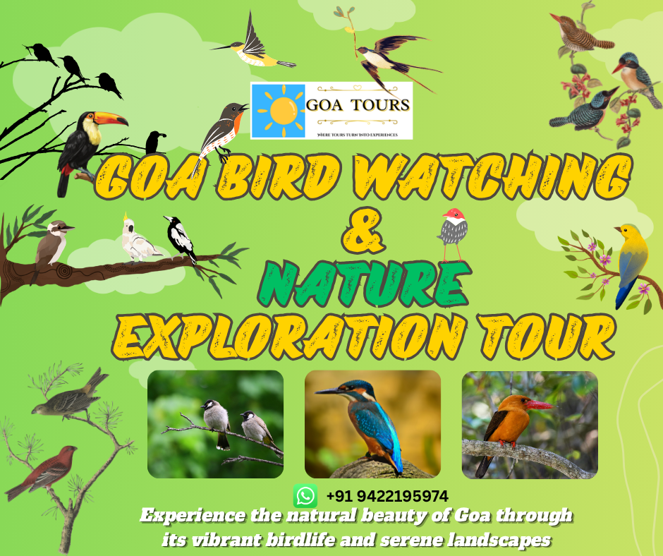 Experience Goa’s diverse birdlife and scenic natural landscapes with a professionally guided bird watching tour. Explore forests, wetlands, and backwaters while observing native and migratory bird species. A perfect eco-tour experience included in your Goa tour package for nature lovers and photographers.