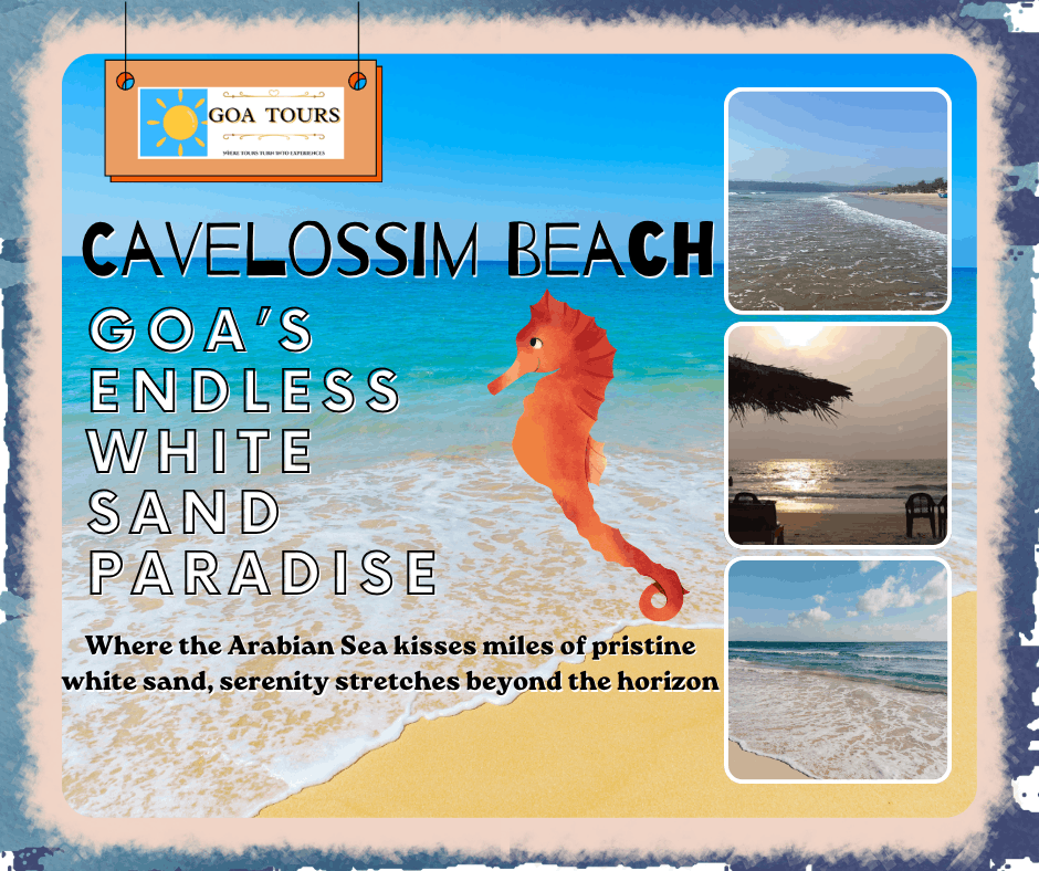 Stretching along South Goa’s pristine coastline, Cavelossim Beach is renowned for its long expanse of soft white sand, swaying palm groves, and tranquil atmosphere. Framed by the sparkling Arabian Sea on one side and the scenic Sal River on the other, this picturesque destination is perfect for leisurely walks, breathtaking sunsets, dolphin-spotting cruises, and peaceful beachside relaxation. Away from the crowds, Cavelossim captivates visitors with its natural beauty, charming local culture, and unforgettable coastal views, making it one of South Goa’s most cherished seaside escapes.