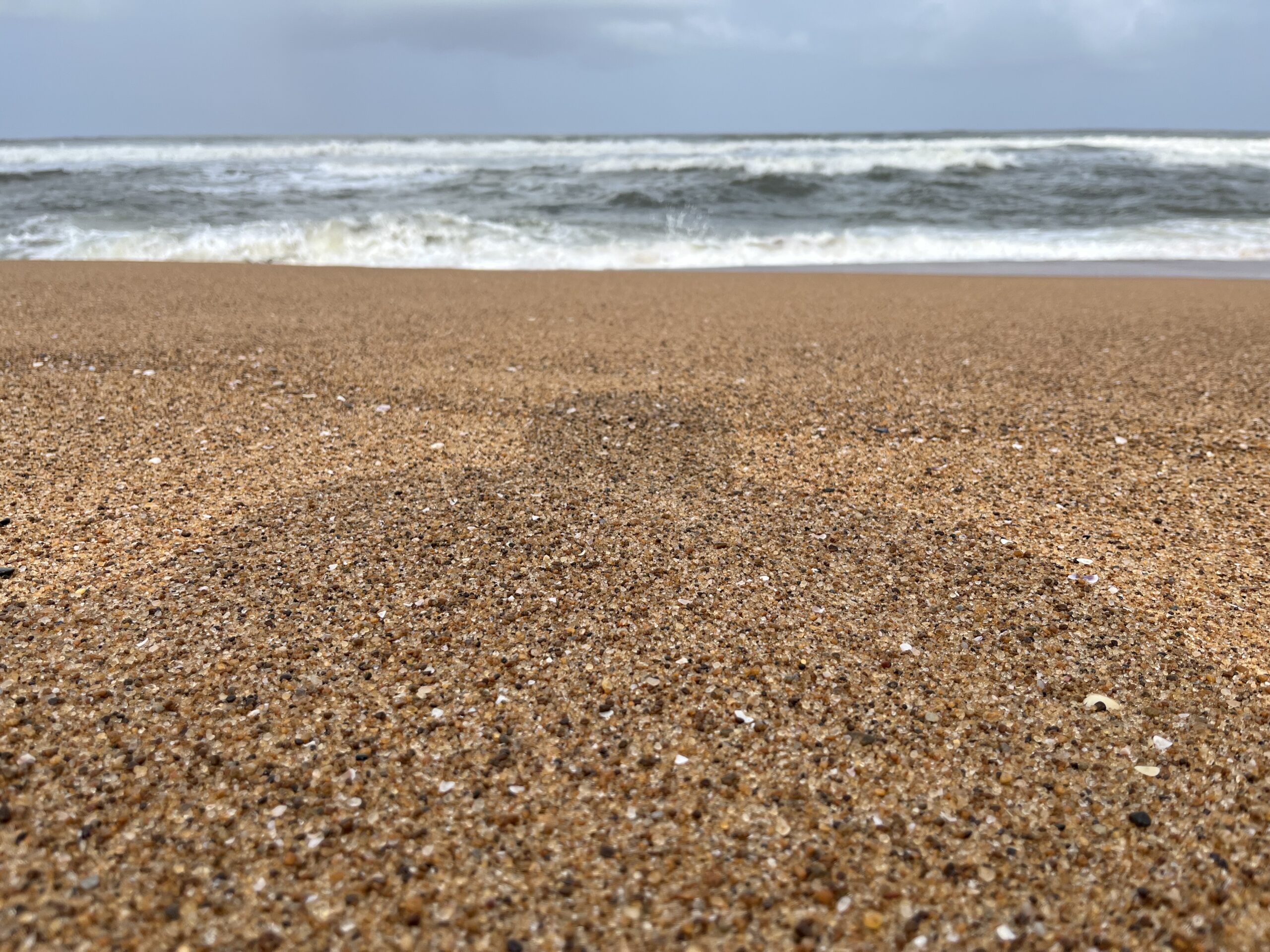 Candolim Beach – Complete Travel Guide | Things to Do